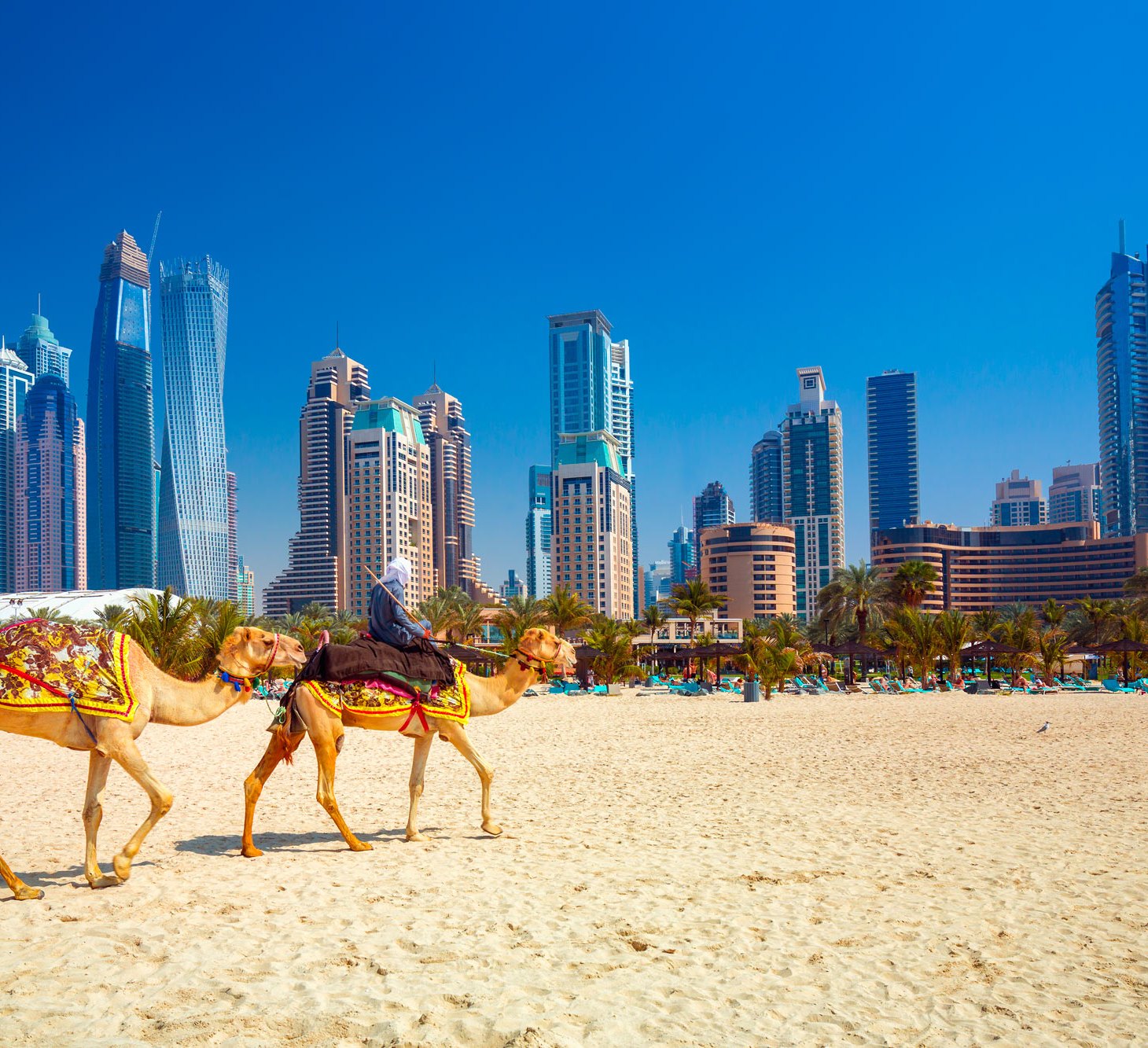 В каких эмиратах лучше отдыхать. Арабские эмираты Дубай. Абу-Даби. Арабские эмираты Дубай фото. Абу Даби туризм.